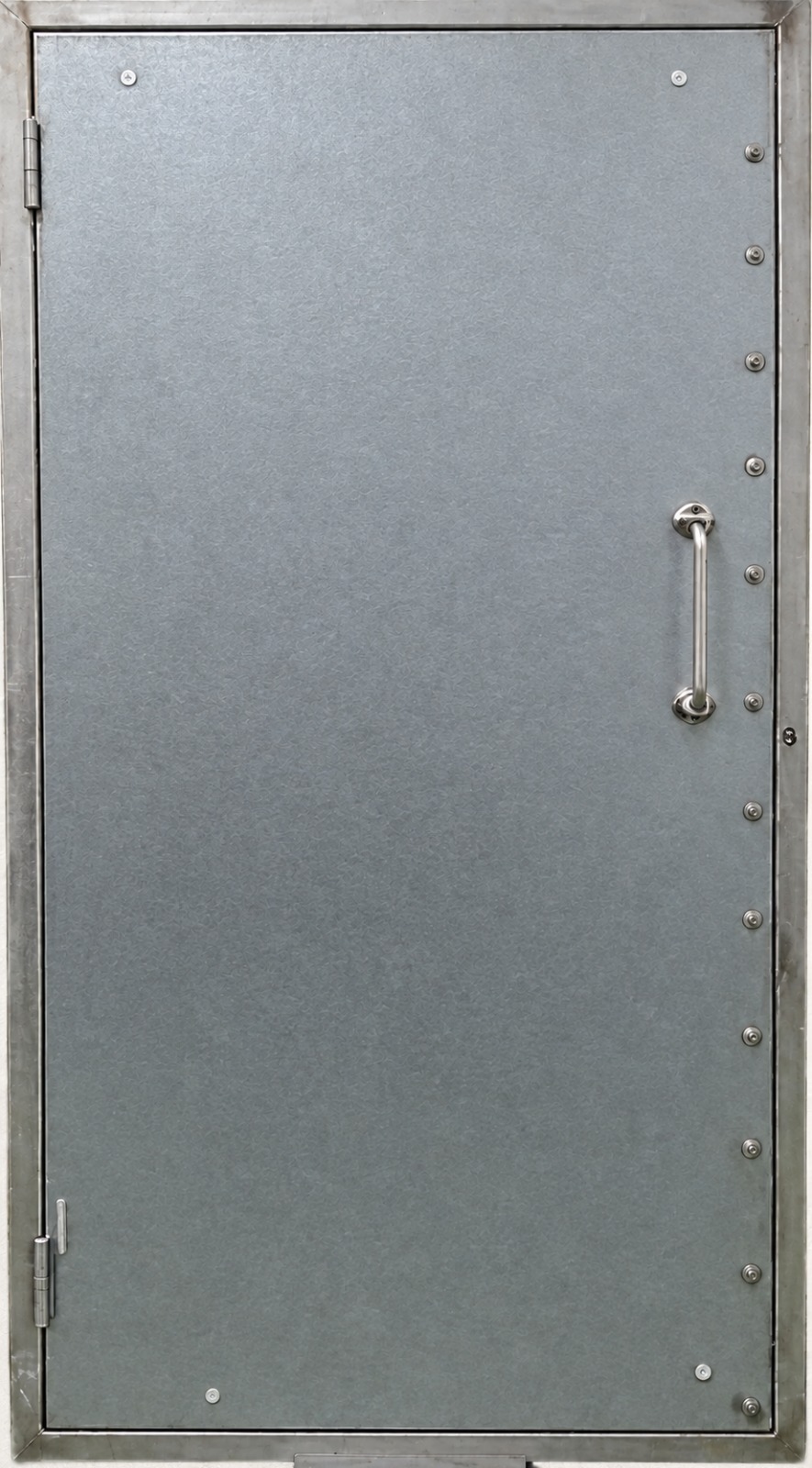 Forced Entry Steel Door (Security Door)