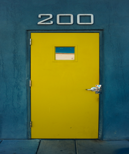 Steel Doors